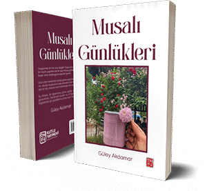 Musalı Günlükleri - Gülay Akdamar